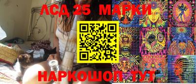 шишки Ставрополь