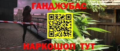 шишки Ставрополь