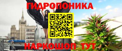 шишки Ставрополь