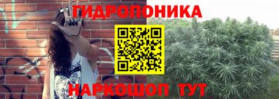 PSILOCYBIN Старая Купавна
