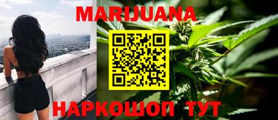 шишки Ставрополь