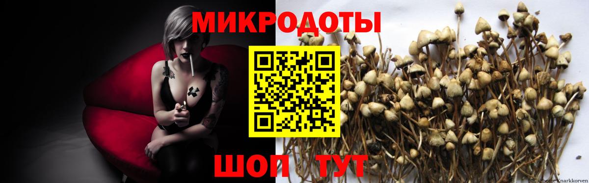 как найти   Вход с VPN  Псилоцибиновые грибы Magic Shrooms  Подольск  Псилоцибиновые грибы ЛСД 